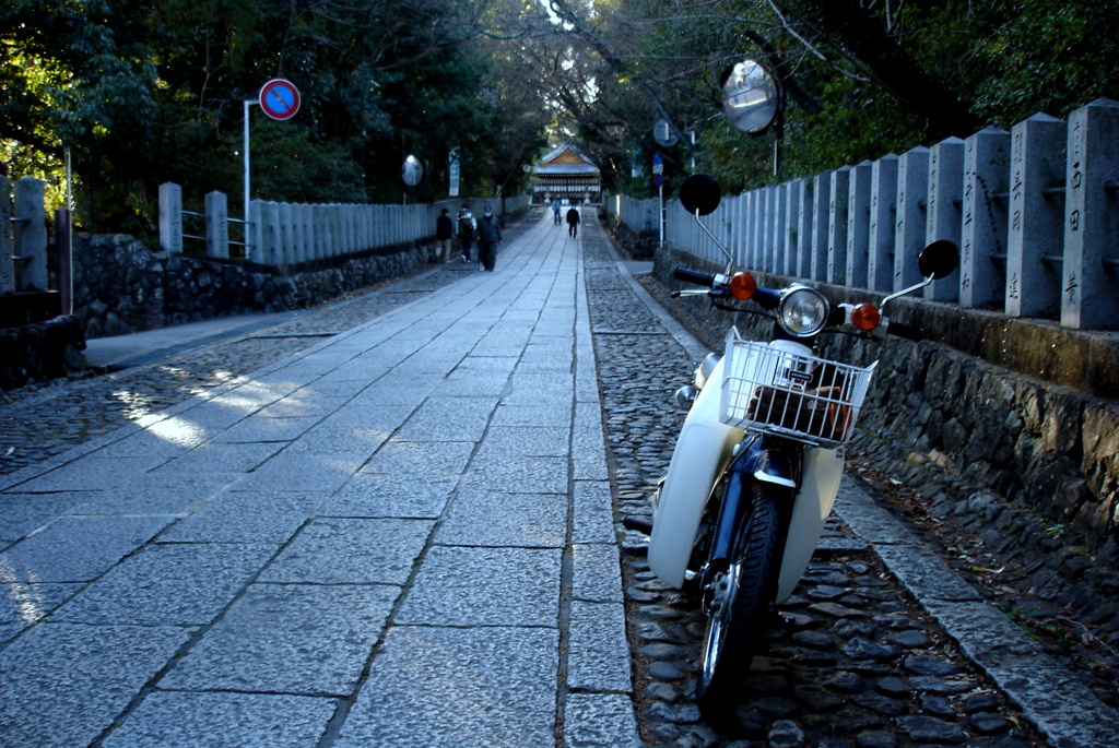 DSC03952