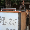 暑っちぃ