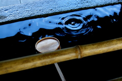 IMGP0037