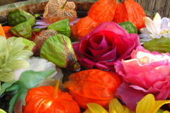 DSC01753