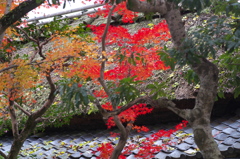 P1020879
