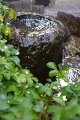 P1040454