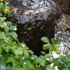 P1040454