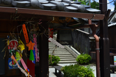 DSC_7864 DSC_7864