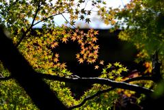 DSC_7048_014