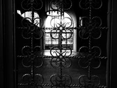 P4291088