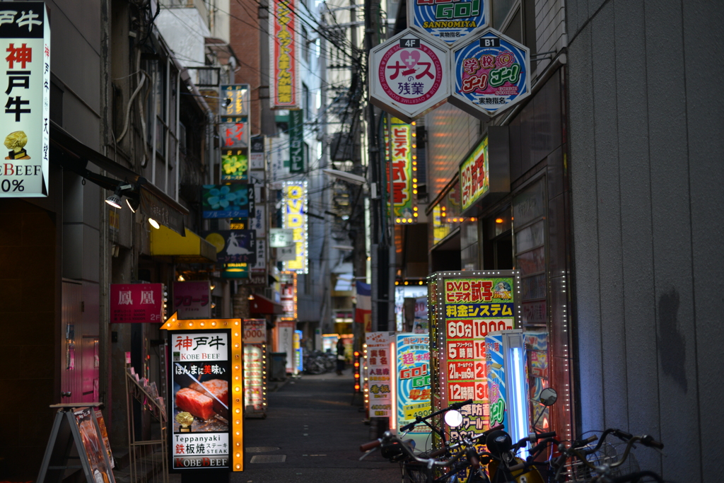 DSC_6344
