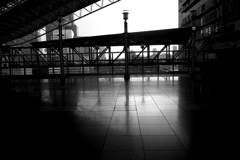 N0009591