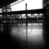 N0009591