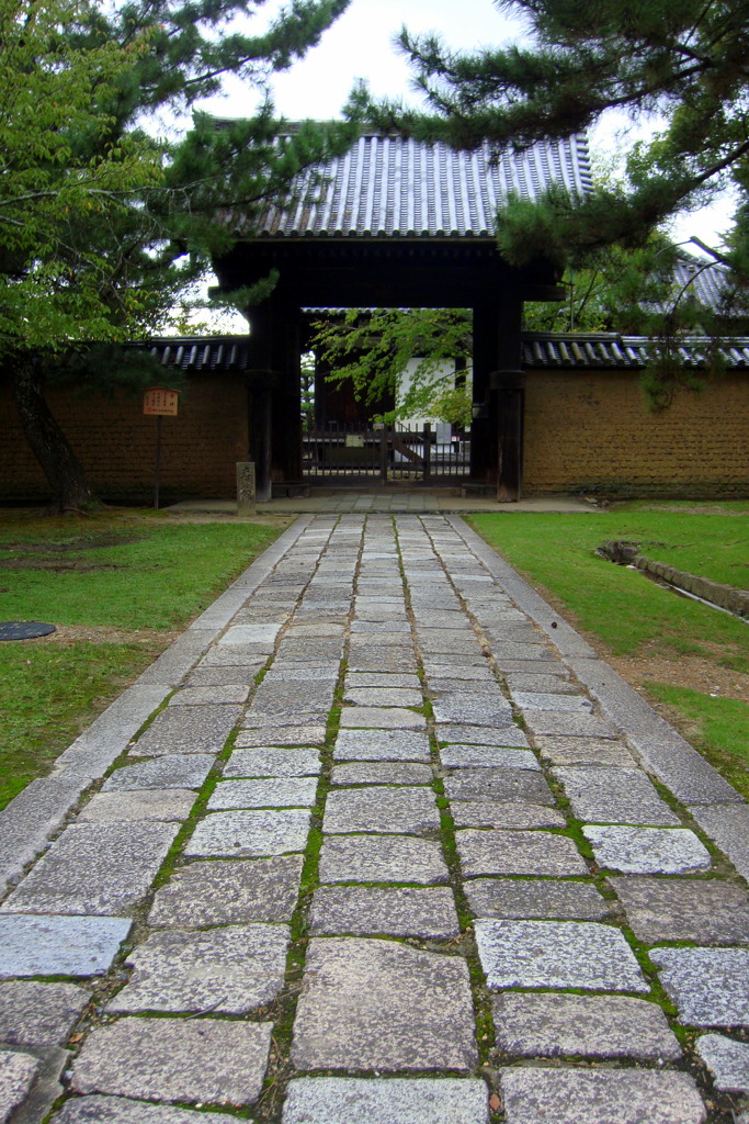 DSC02491