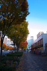 P1020830