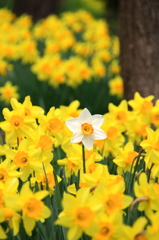 ここです（＾＾）/