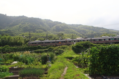 小さい踏切