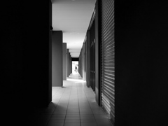 P2590431