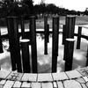 N0009506