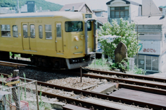 77560018