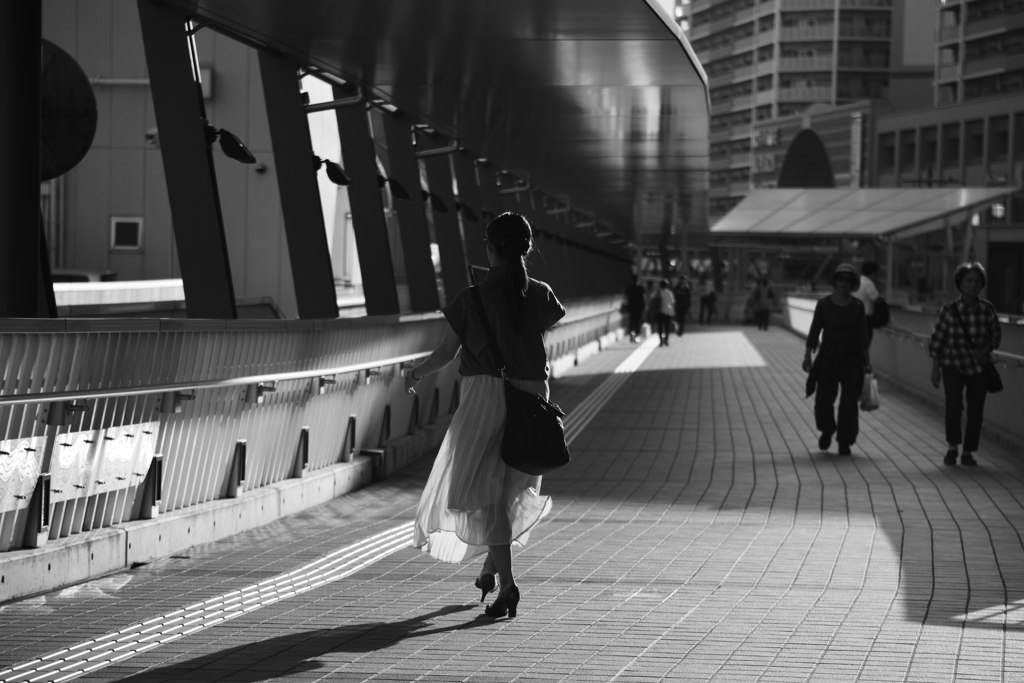 DSC_8652