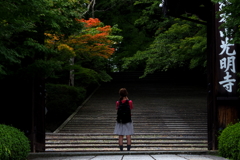 N9031301