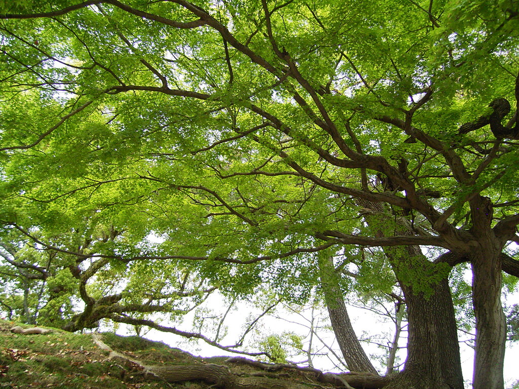 R0010251