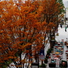 N0181713