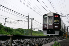 P4410162