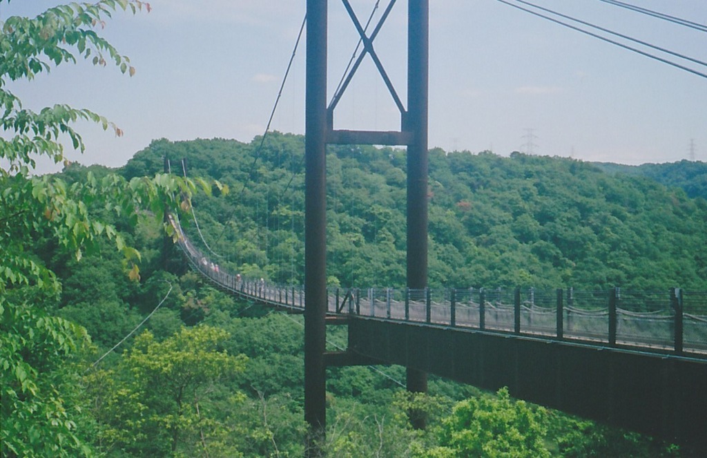 森の吊橋