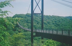森の吊橋