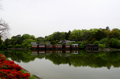 映り