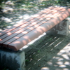 holga/ベンチ