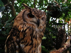 PICT0114