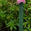 P1050898
