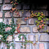 PICT0233