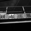 P1000068