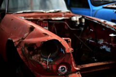 DSC_7371 DSC_7371