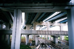 77570037