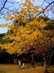 PICT0189