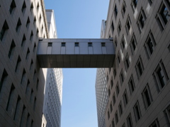 P3630350