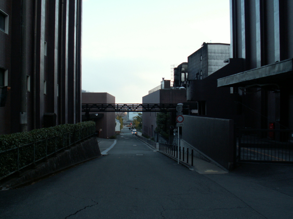 PICT7740