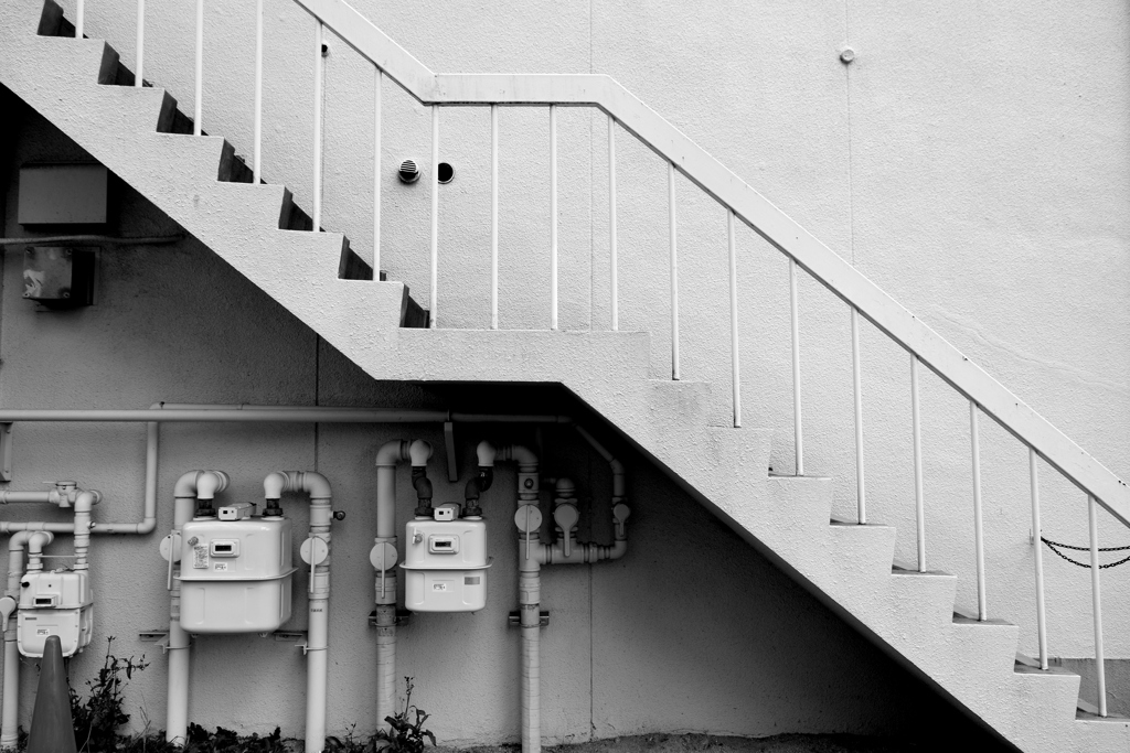 DSC_1274