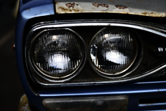 DSC_7372 DSC_7372