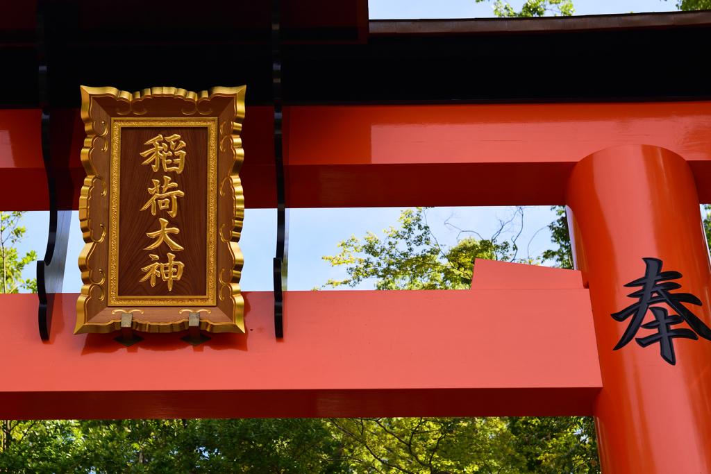 DSC_4547