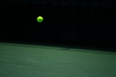 DSC_5542 DSC_5542