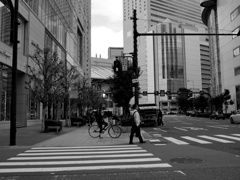 P3610095