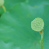 P1010437