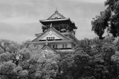 大坂
