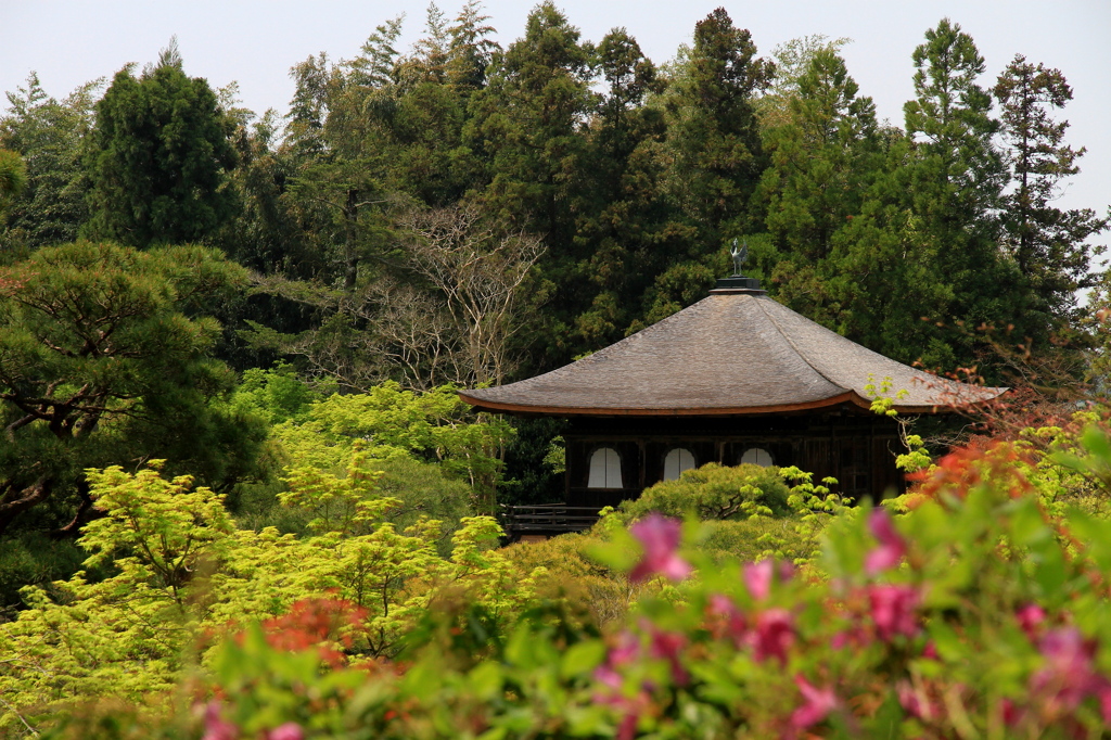 慈照寺