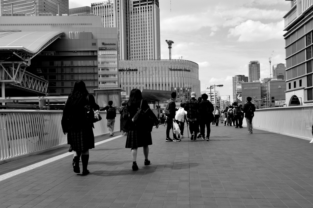 DSC_8942