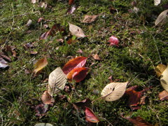 PICT0042