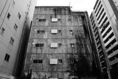 P2160981