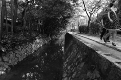 川辺を歩く